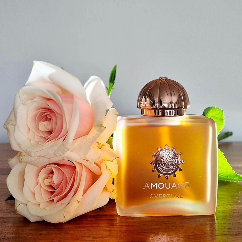 The Collection Perfume Fragrance - عطر أمواج الفاخر للنساء 100 مل