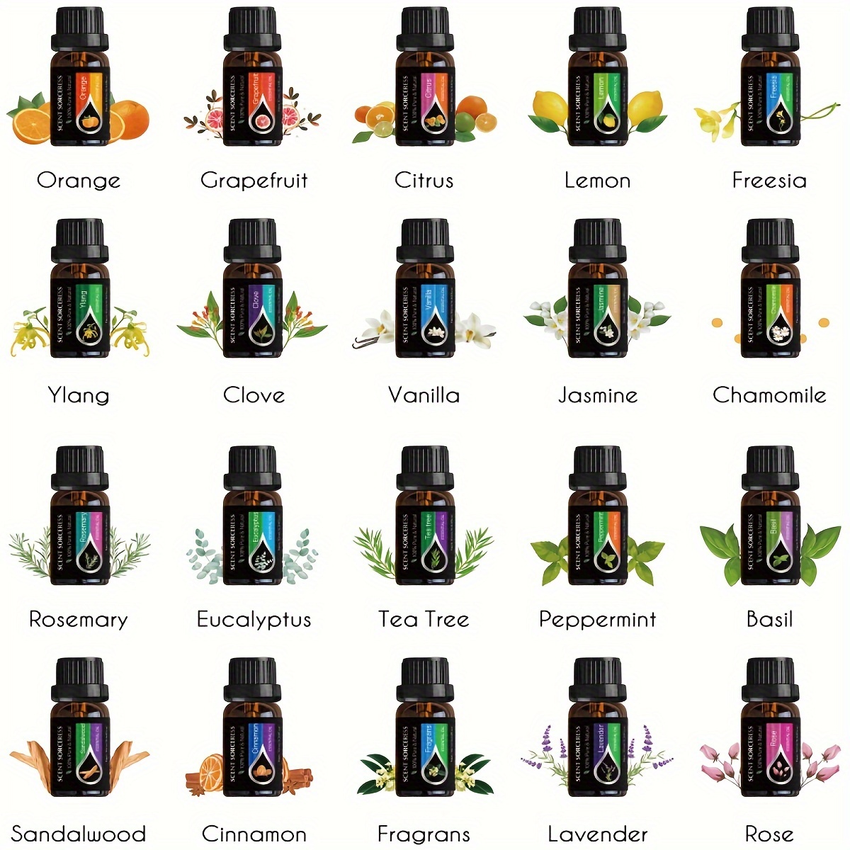 20 قطعة/المجموعة مجموعة الزيوت - مراجعة Perfume Fragrance Oil وسعره