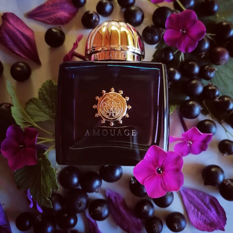 عطر أمواج الفاخر للنساء 100 مل - مراجعة The Collection Perfume Fragrance وسعره